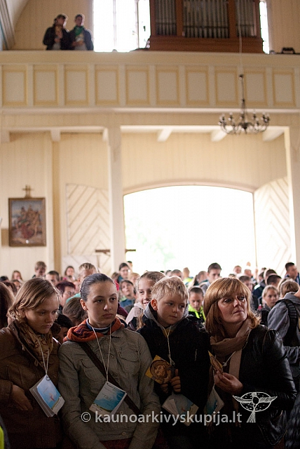 20130914 silines 1038 ms