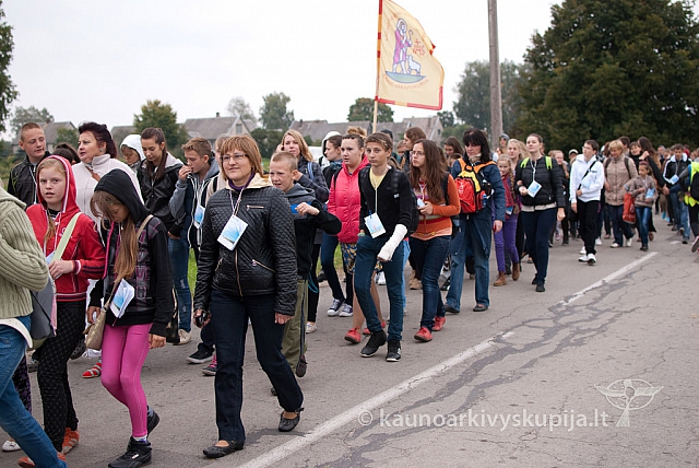 20130914 silines 1044 ms