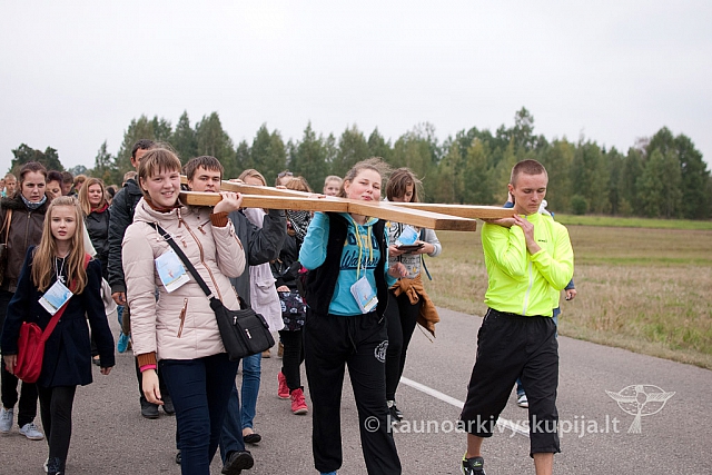 20130914 silines 1068 ms