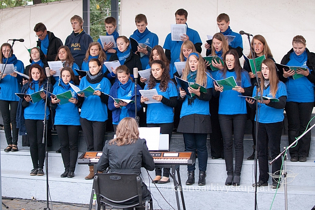 20130914 silines 1081 ms