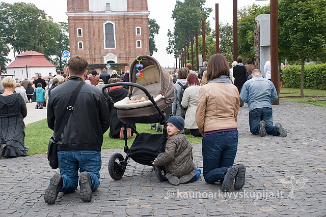 20130915 silines 0216 sk