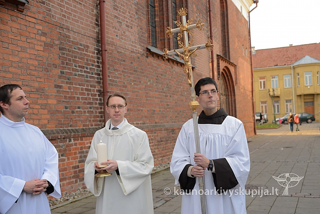 20131111 st75 6006 ms