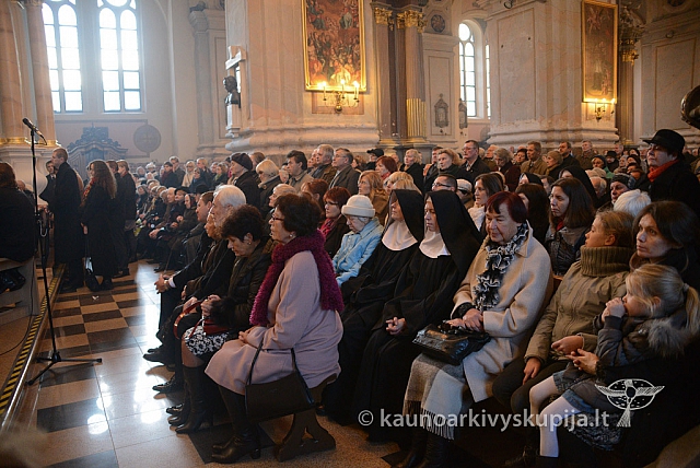 20131111 st75 6115 ms