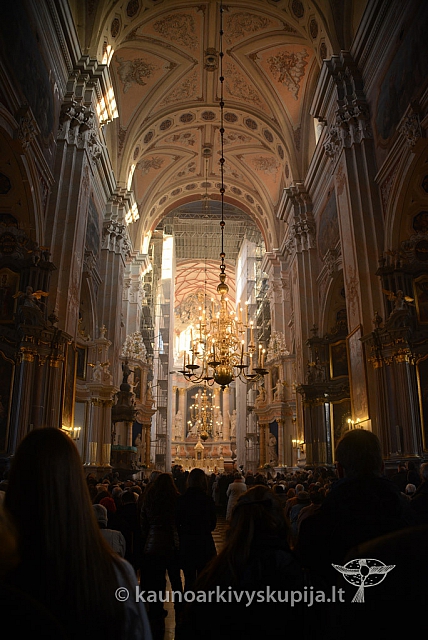 20131111 st75 6118 ms