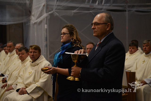 20131111 st75 6142 ms