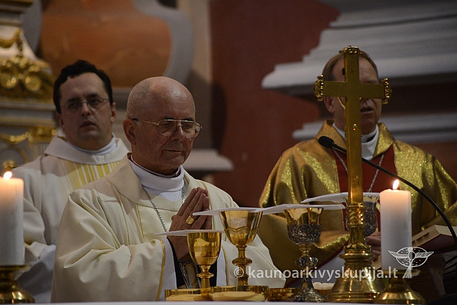 20131111 st75 6184 ms