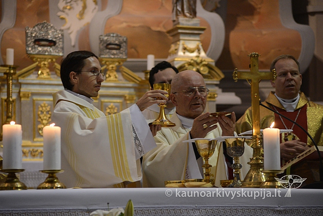 20131111 st75 6209 ms