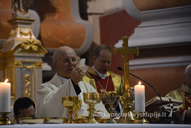 20131111 st75 6244 ms