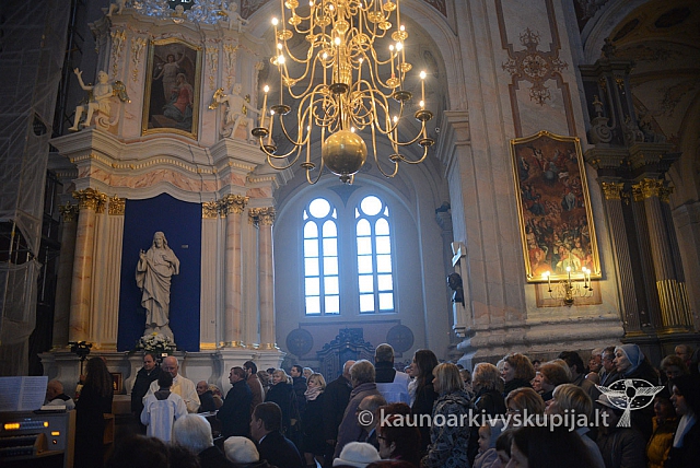 20131111 st75 6252 ms