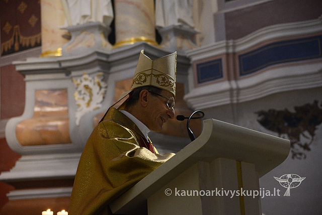 20131111 st75 6271 ms