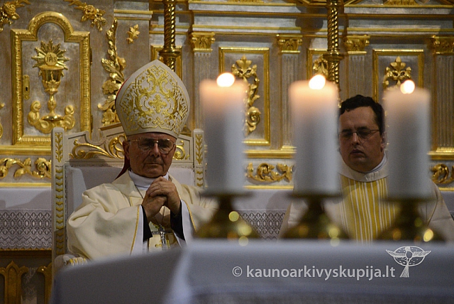 20131111 st75 6278 ms