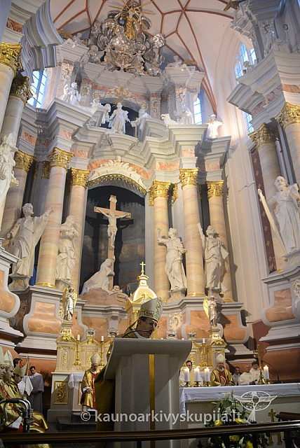 20131111 st75 6281 ms