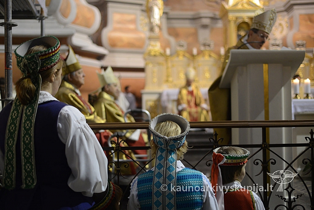 20131111 st75 6292 ms