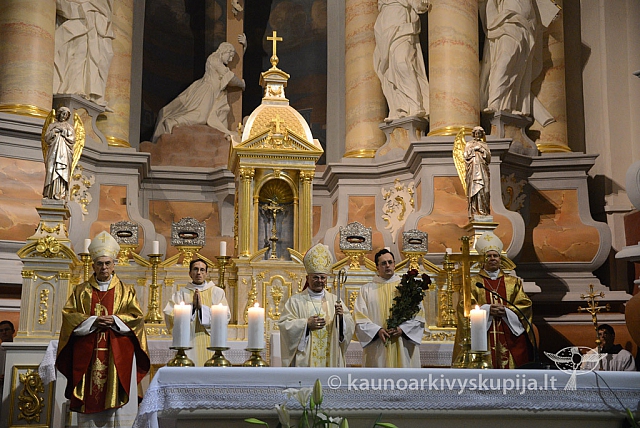 20131111 st75 6361 ms