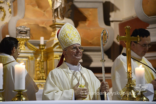 20131111 st75 6392 ms