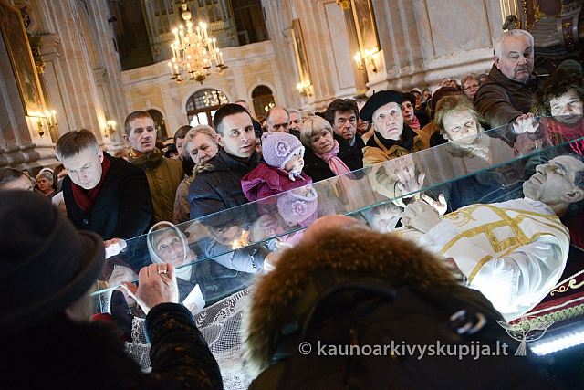 20140302 bosko-r 31 ms