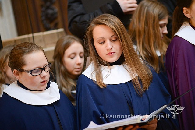 20140302 bosko-r 39 ms