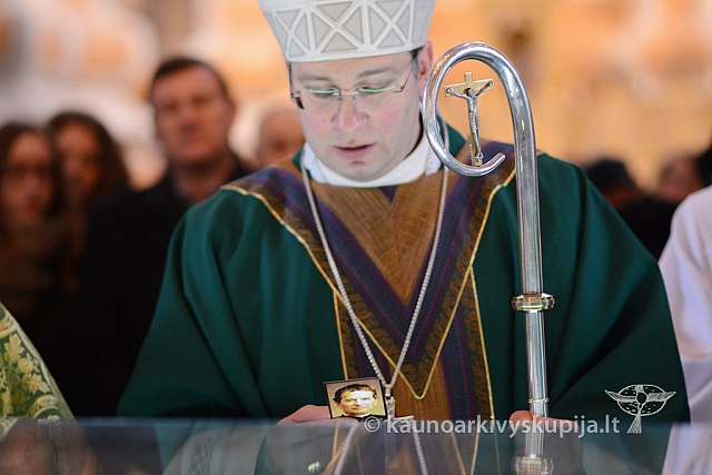 20140302 bosko-r 81 ms