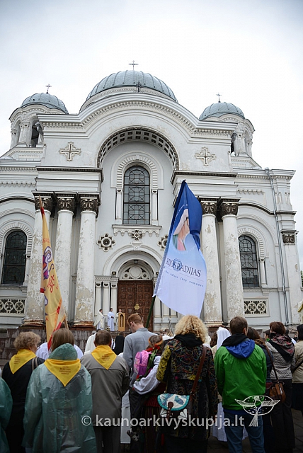 2014 devintines 008 ms