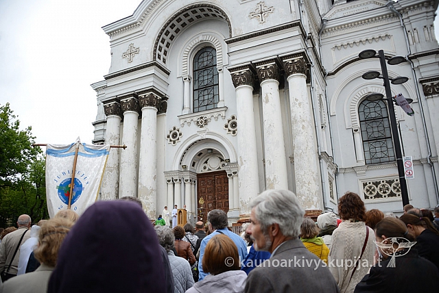 2014 devintines 009 ms