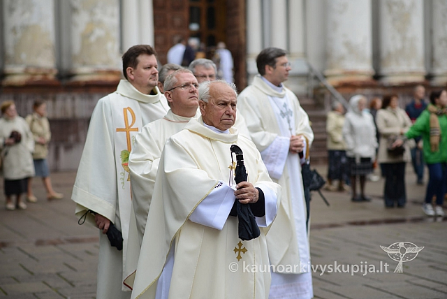 2014 devintines 017 ms