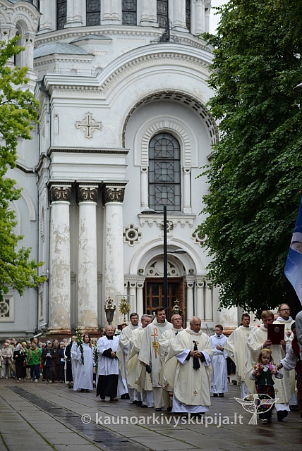 2014 devintines 019 ms