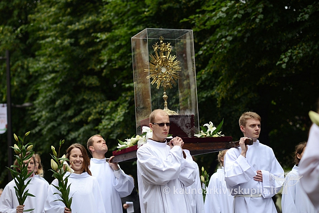 2014 devintines 021 ms