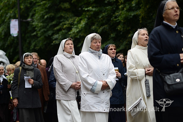 2014 devintines 022 ms