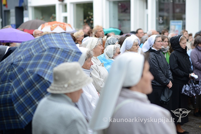 2014 devintines 058 ms