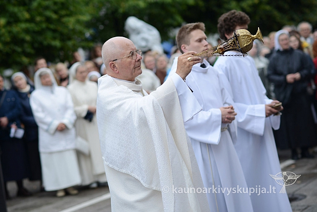 2014 devintines 060 ms