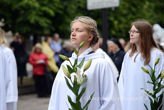 2014 devintines 063 ms