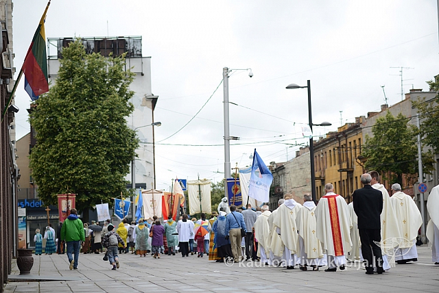 2014 devintines 067 ms