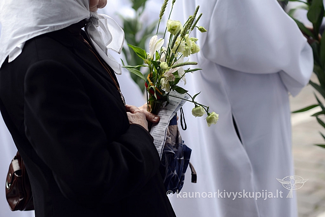 2014 devintines 082 ms