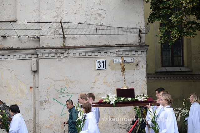 2014 devintines 090 ms