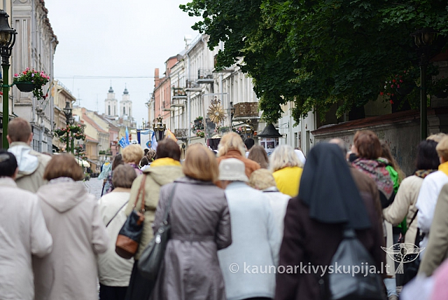 2014 devintines 094 ms