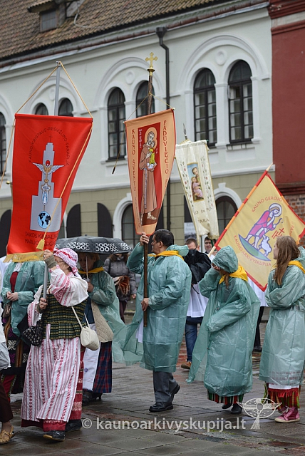 2014 devintines 108 ms