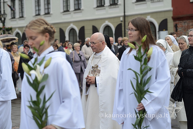 2014 devintines 116 ms