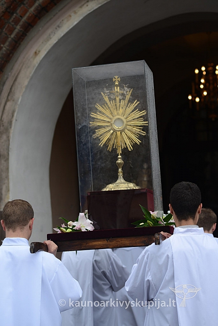 2014 devintines 118 ms