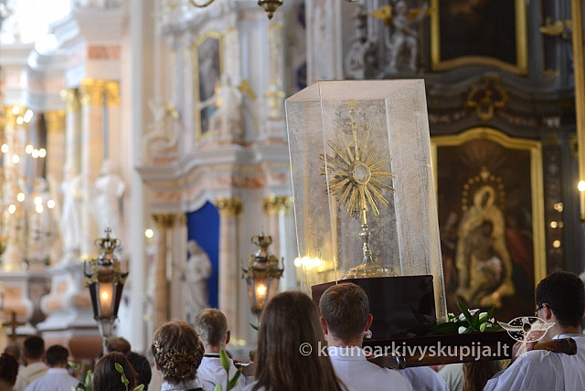 2014 devintines 119 ms