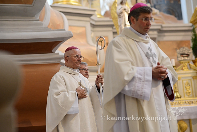 2014 devintines 136 ms