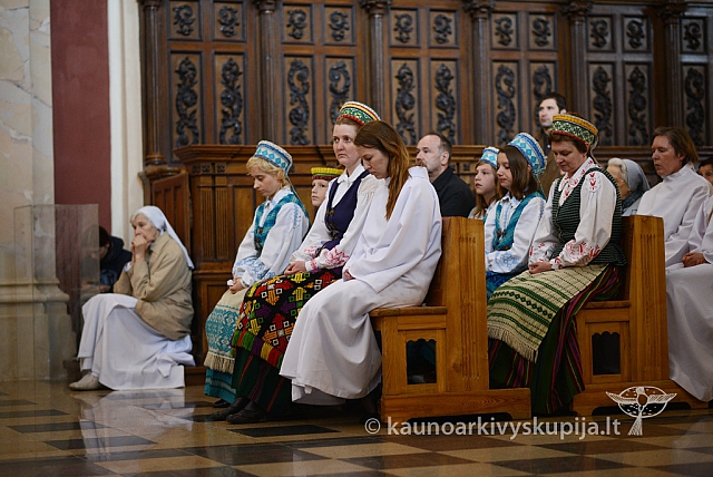 2014 devintines 140 ms