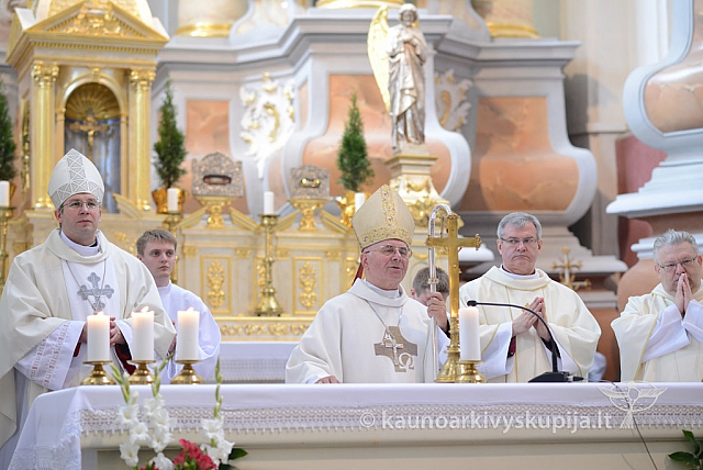 2014 devintines 149 ms