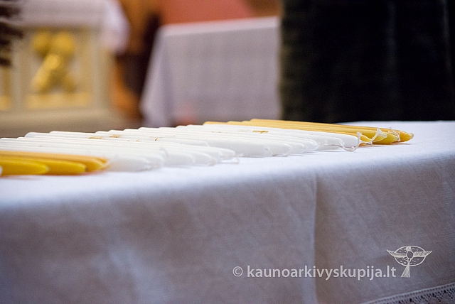 2014 grabnycios 1521 ms