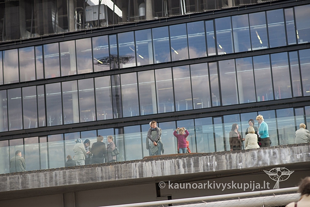 20140515 seimu-s 3322 ms