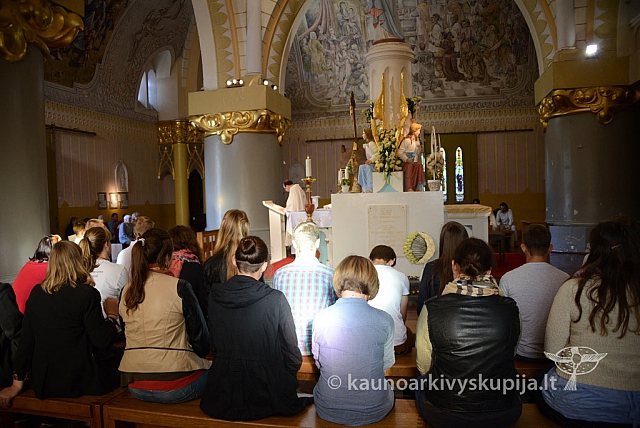 20140905 silines 9590 ms