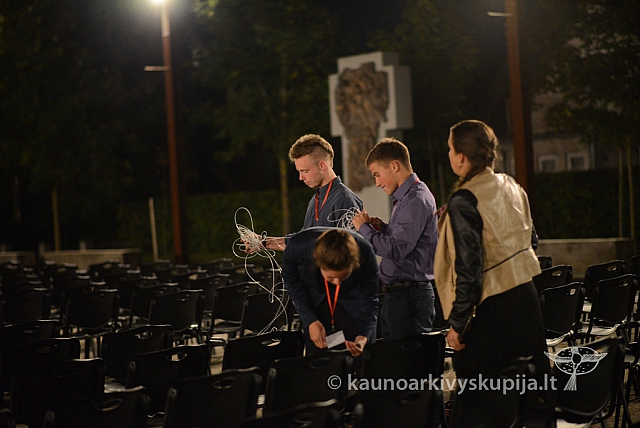 20140906 silines 0007 ms