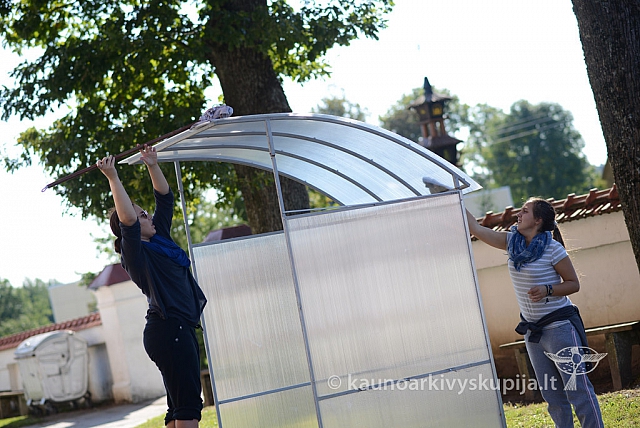 20140906 silines 9644 ms