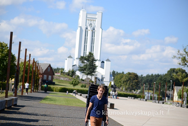 20140906 silines 9665 ms