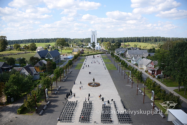 20140906 silines 9698 ms