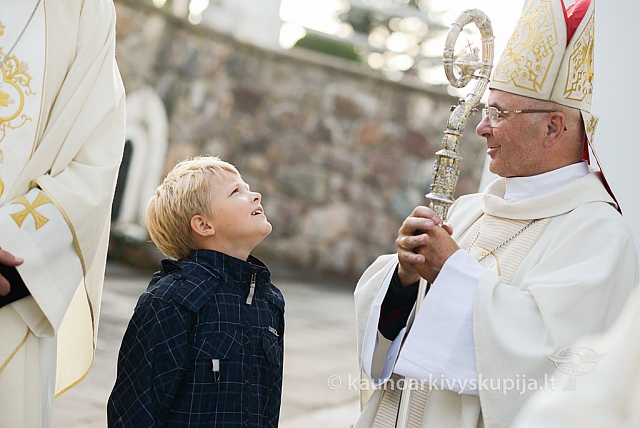 20140906 silines 9780 ms